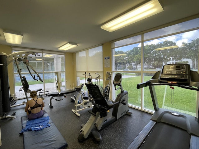 workout area featuring floor to ceiling windows