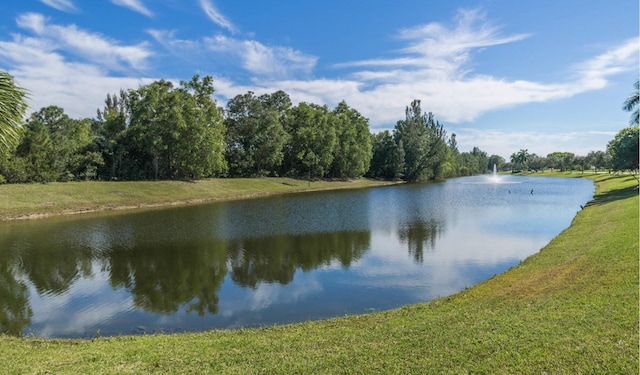 property view of water