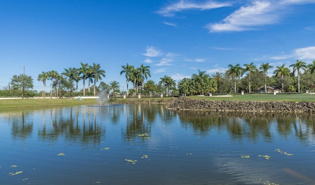 view of water feature