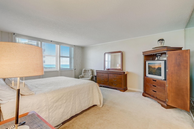 bedroom with carpet and a textured ceiling