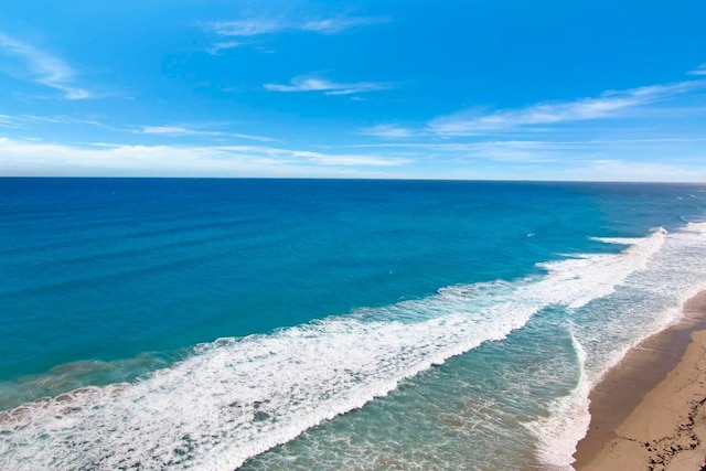 water view featuring a beach view