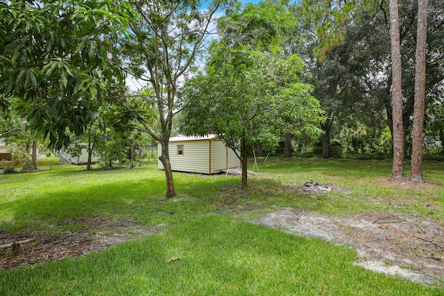 view of yard featuring a shed