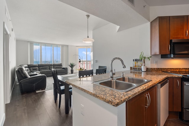 kitchen featuring dark wood-type flooring, a wall of windows, appliances with stainless steel finishes, decorative light fixtures, and sink