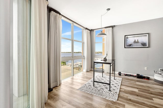 office area with a wall of windows, a water view, and light hardwood / wood-style flooring