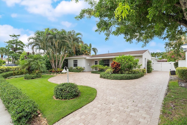 ranch-style house with a front yard