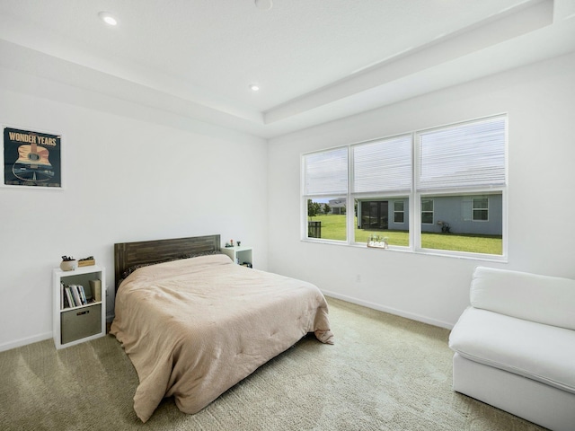 carpeted bedroom featuring a tray ceiling