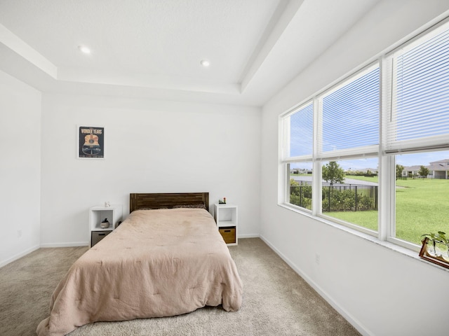 carpeted bedroom with multiple windows and a tray ceiling