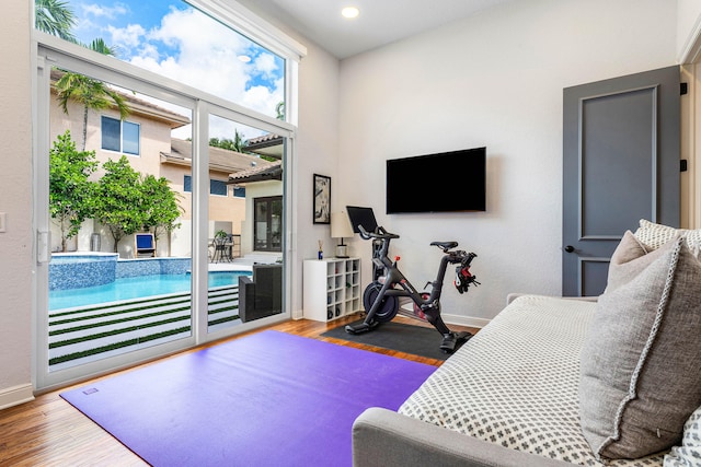 workout room featuring hardwood / wood-style flooring