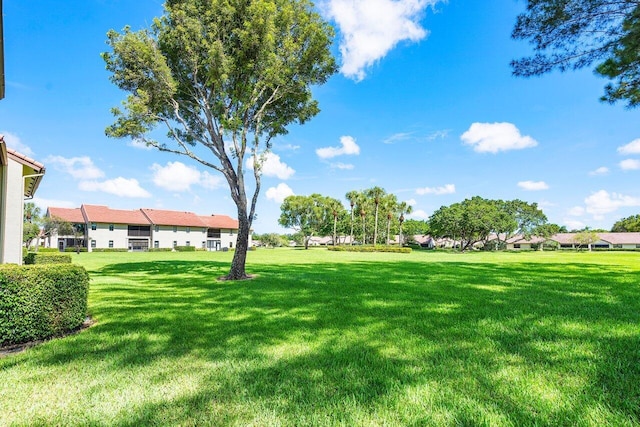 6055 Parkwalk Dr, Boynton Beach, FL 33472 - view of grassy yard