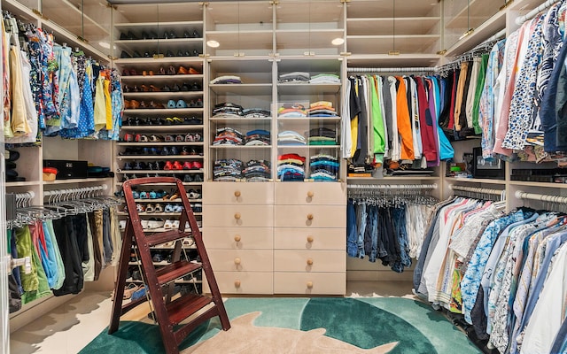 view of walk in closet