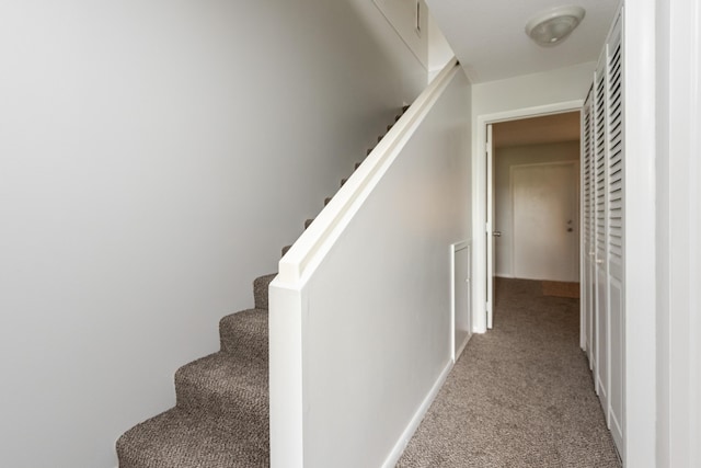 stairway with carpet flooring