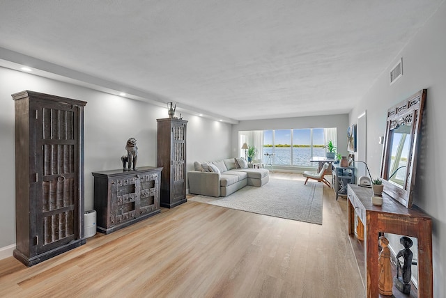 living room featuring wood-type flooring