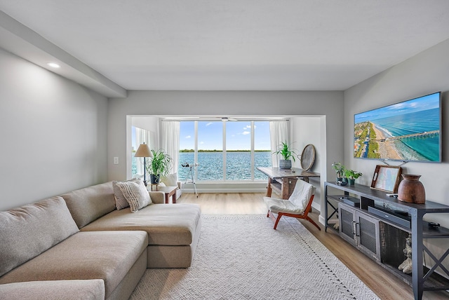 living room with light hardwood / wood-style floors