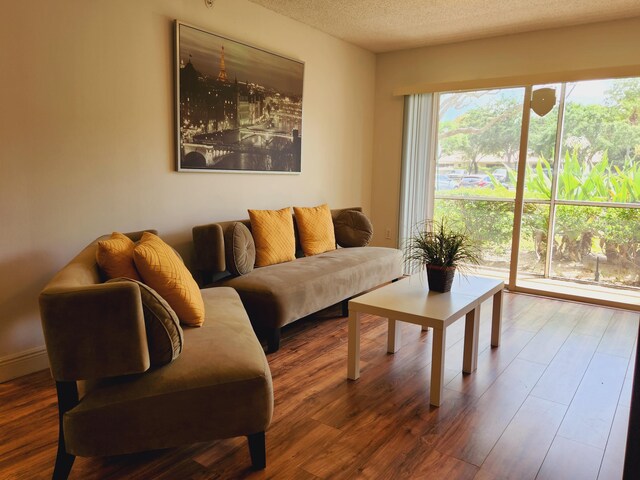 living room featuring a textured ceiling and hardwood / wood-style flooring