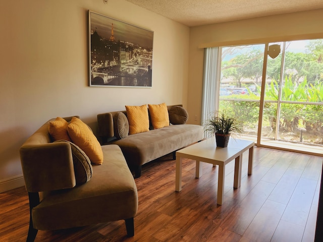 living room with a textured ceiling and wood finished floors