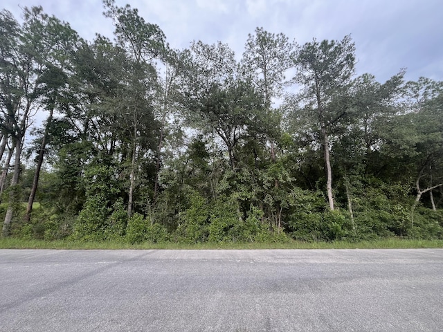 0 Hunter Hill Ave, Dunnellon FL, 34431 land for sale