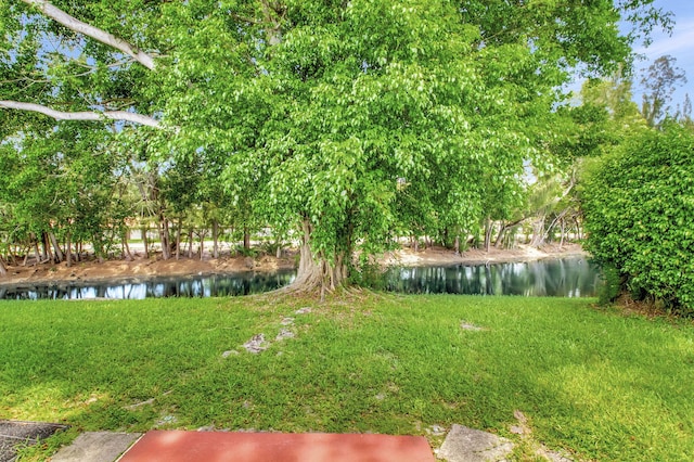 view of yard featuring a water view