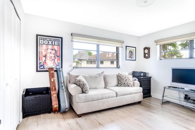 living room featuring light hardwood / wood-style flooring