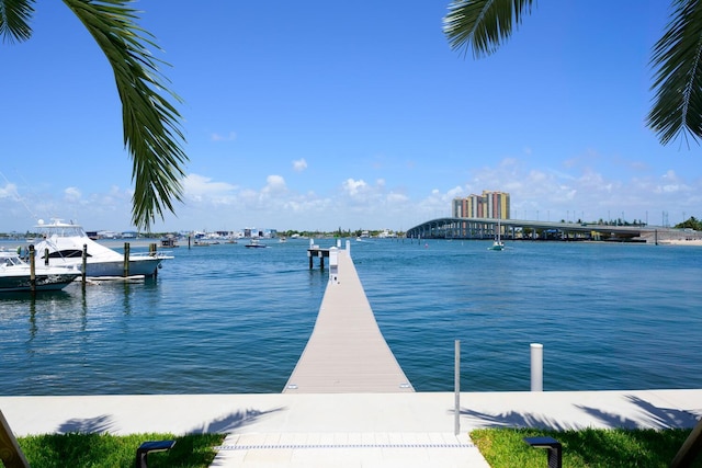 dock area with a water view