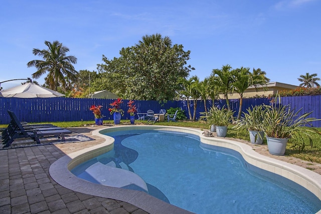 view of swimming pool featuring a patio