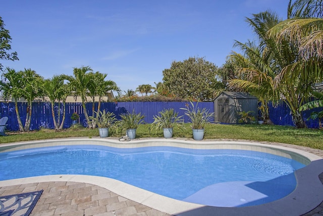 view of swimming pool featuring a shed