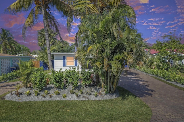 view of front of house with a lawn