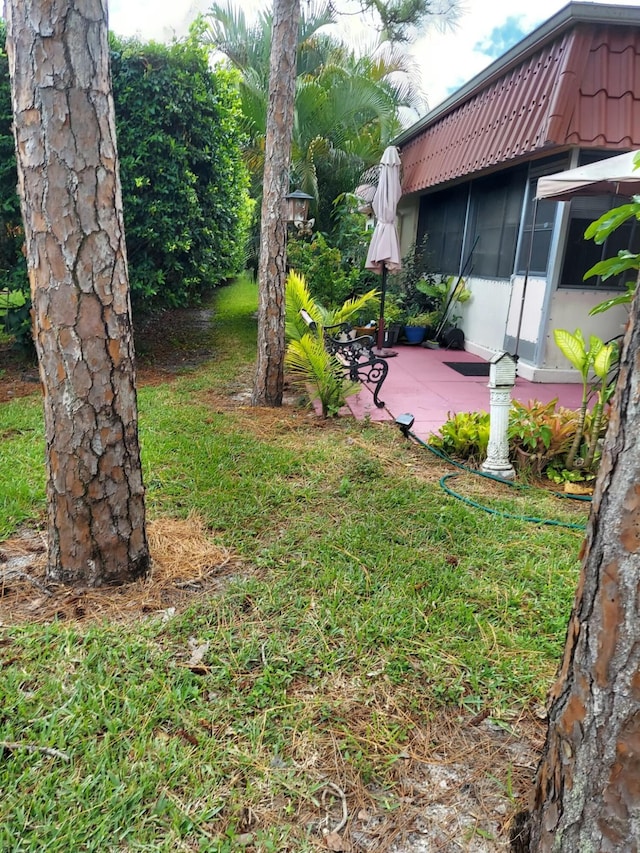 view of yard featuring a patio