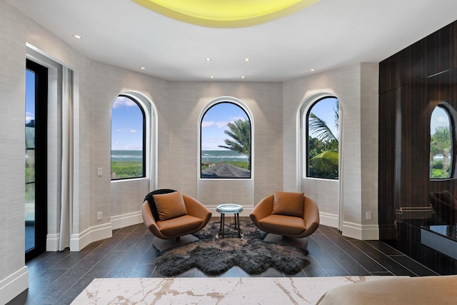 living area featuring a healthy amount of sunlight and dark hardwood / wood-style floors