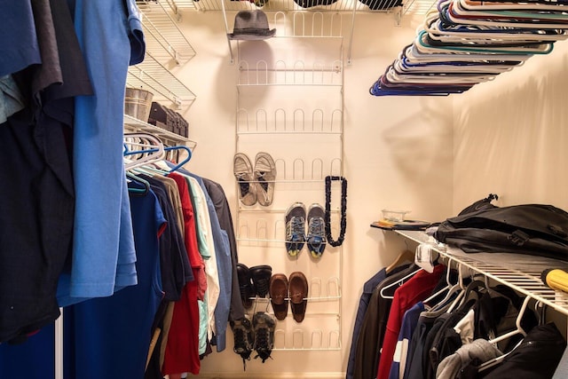 view of spacious closet