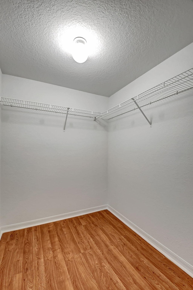 spacious closet featuring light wood-type flooring