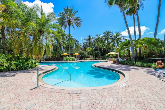 pool with a patio area