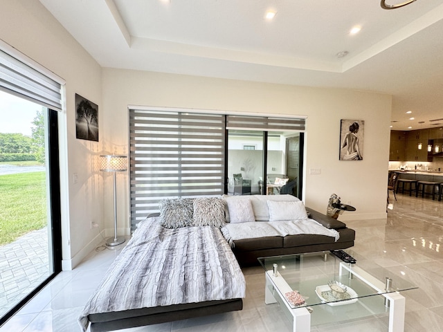 living room featuring a raised ceiling