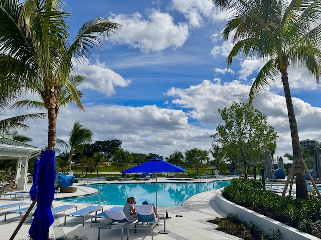 view of swimming pool featuring a patio