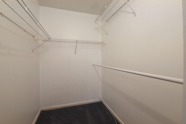 spacious closet featuring carpet floors