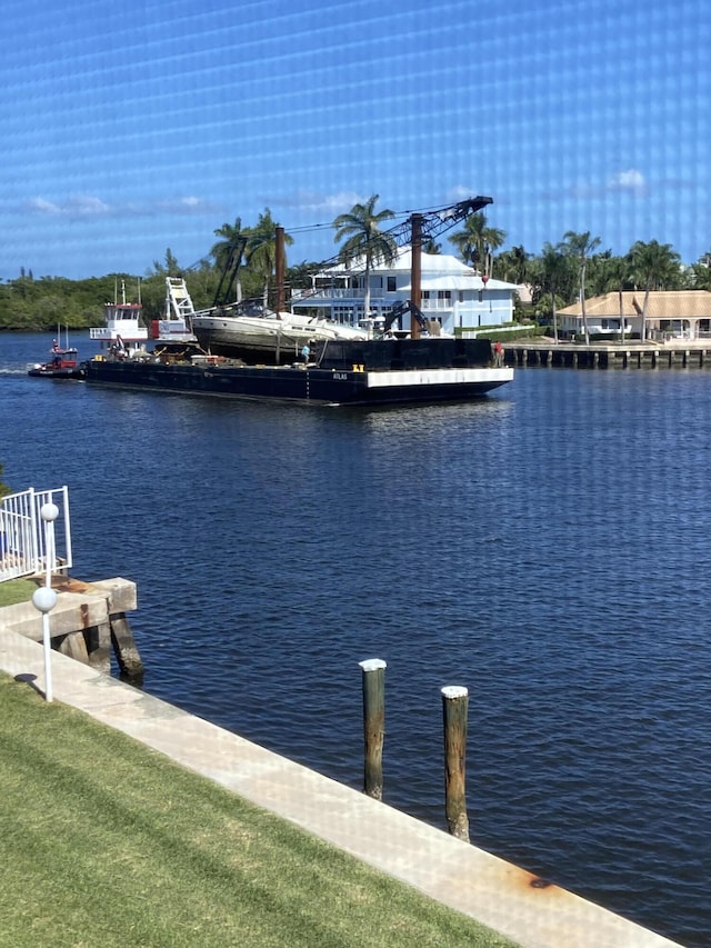 dock area with a water view