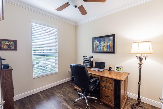 office with ceiling fan, dark hardwood / wood-style floors, crown molding, and a healthy amount of sunlight