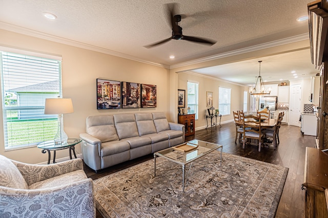 living room with ornamental molding, dark hardwood / wood-style floors, ceiling fan with notable chandelier, and a textured ceiling