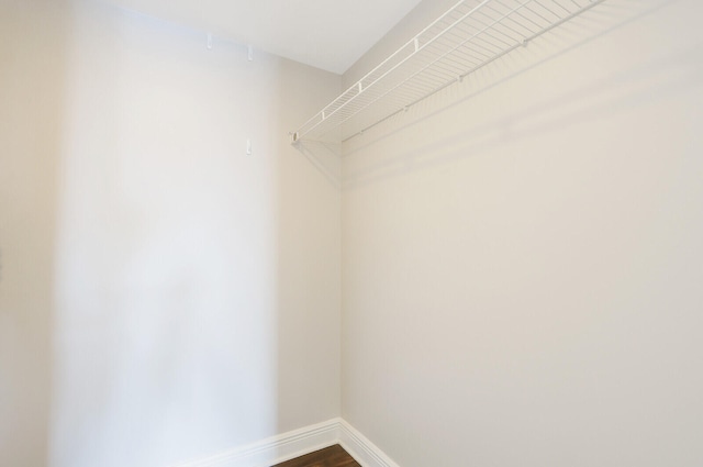 walk in closet featuring hardwood / wood-style flooring