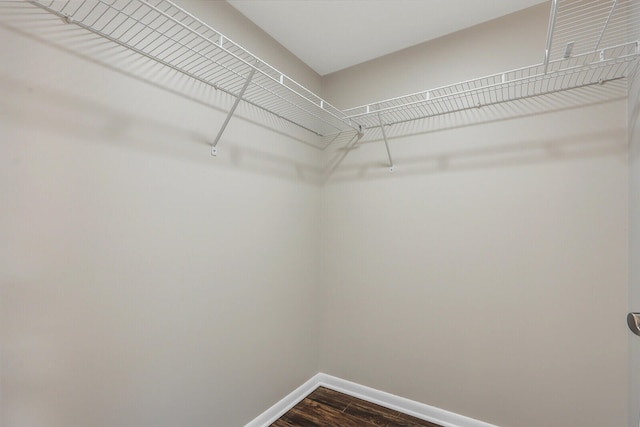 walk in closet featuring hardwood / wood-style floors