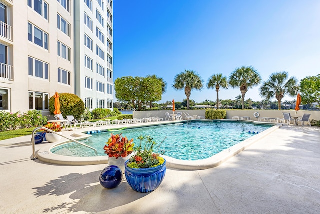 view of pool with a patio area