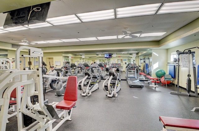 workout area featuring a drop ceiling and ceiling fan