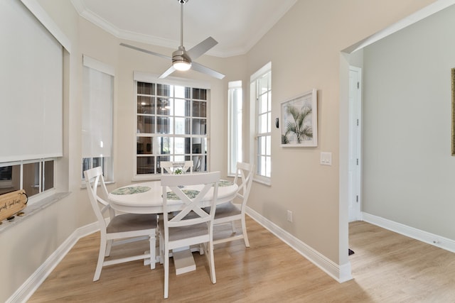 dining room featuring ceiling fan, ornamental molding, and light hardwood / wood-style flooring