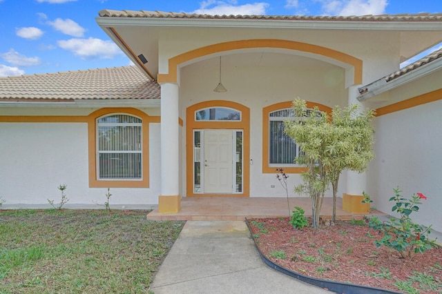 property entrance featuring a yard