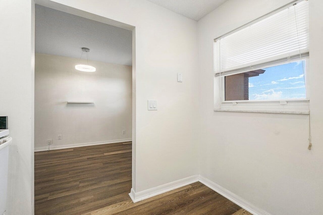 interior space with dark hardwood / wood-style floors