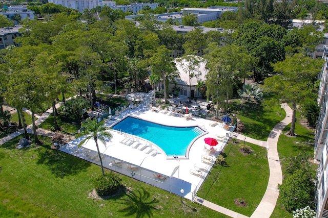 view of swimming pool featuring a patio and a yard