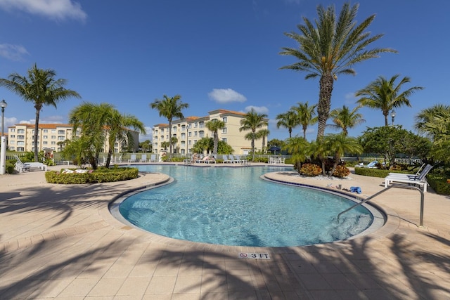 view of swimming pool featuring a patio