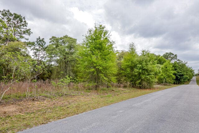 LOT31 SW Valencia Heights Ave, Dunnellon FL, 34431 land for sale