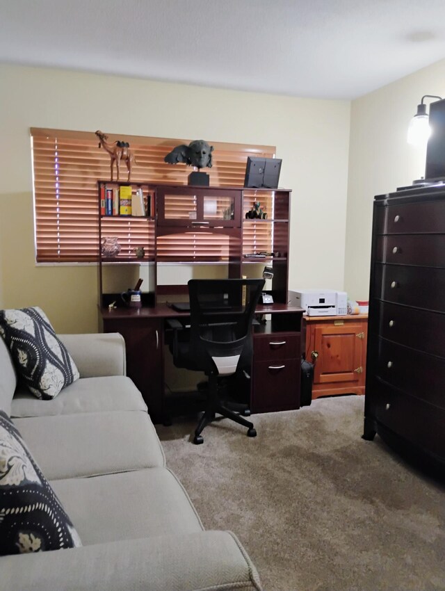 home office with carpet