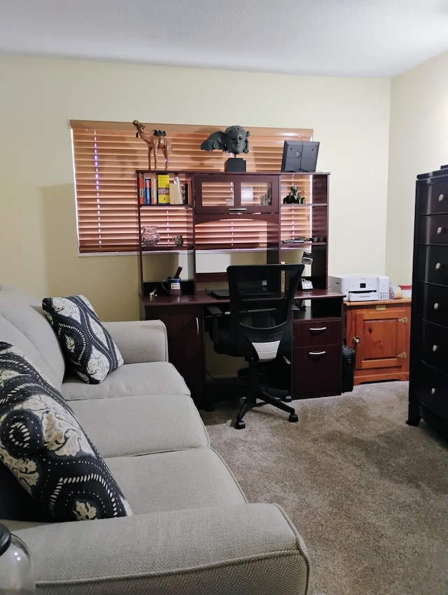 office with carpet floors