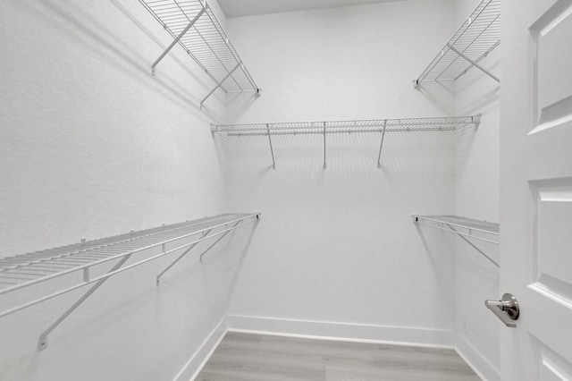 walk in closet featuring wood-type flooring